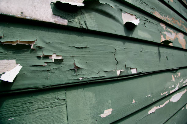 Best Garage Cleanout  in Owosso, MI