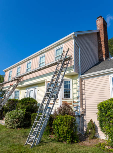 Best Property Management Cleanouts  in Owosso, MI