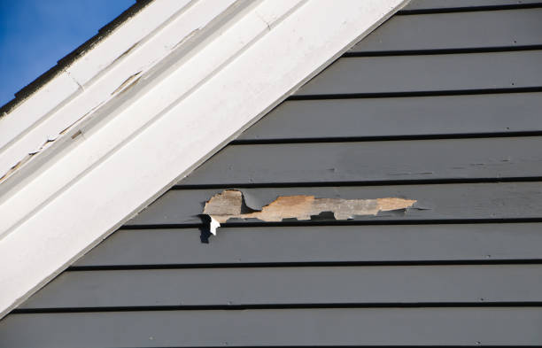 Professional Junk Removal in Owosso, MI